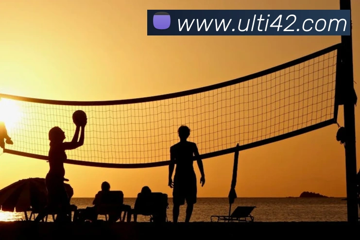 App Interface Preview